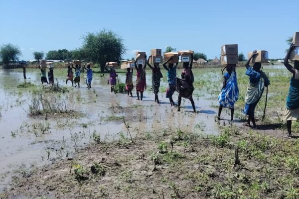 On July 22, 2025 the leading health partner, Community Social and Economic Development Agency (COSEDA) and CHD medical director, finally successfully delivered essential medicine supplies (C3) and Health Management Information System (HMIS)